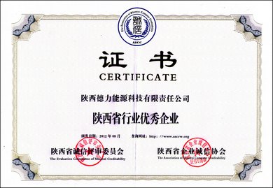 陜西德力能源科技有限責任公司范德力鍋爐